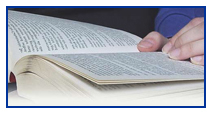 Bible Translation